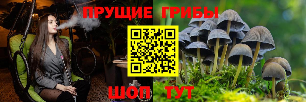 Галлюциногенные грибы мицелий  Вход с VPN  Батайск 
